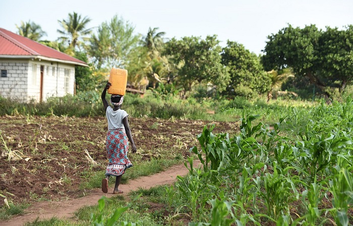 Biblical Meaning Of Fetching Water In A Dream